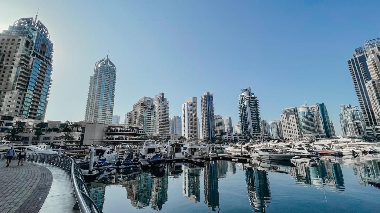 Apartment Sky High One Bedroom With Palm And Sea View *