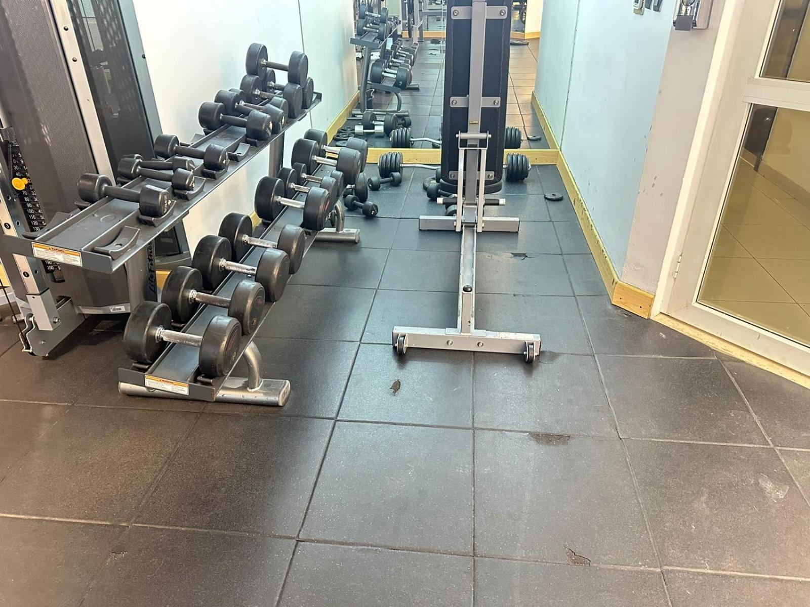 Appartement Newly Furnished 1 Bedroom, High Floor, Amazing View, Close To Metro Dubaï