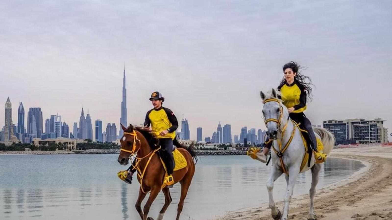 Asrama Urban Panda Jbr Dubai