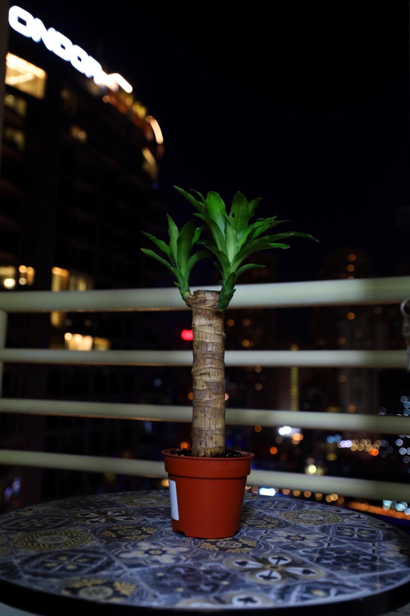 Apartamento Superb 1bed Marina View Pool Jbr Parking *