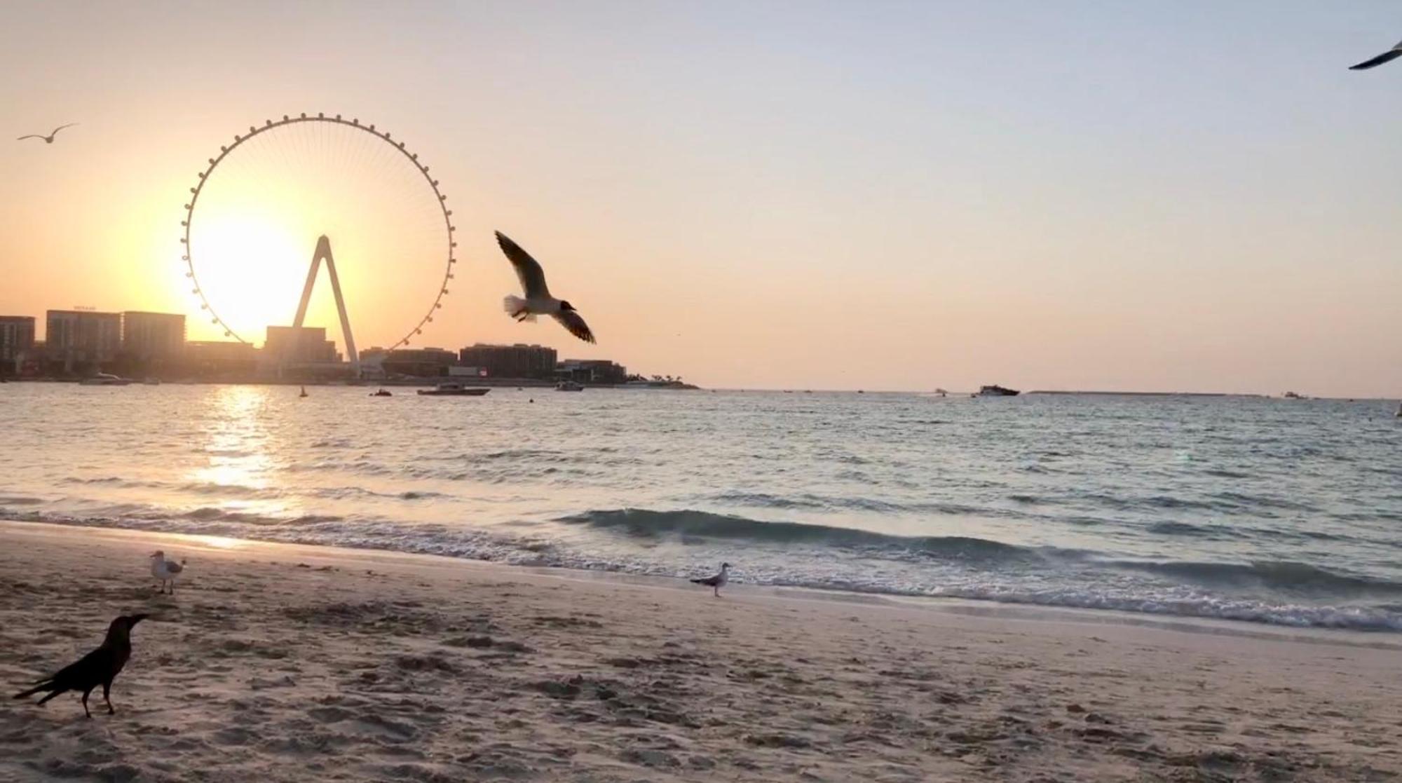Jbr Beachfront Luxe Sea Facing Dubai