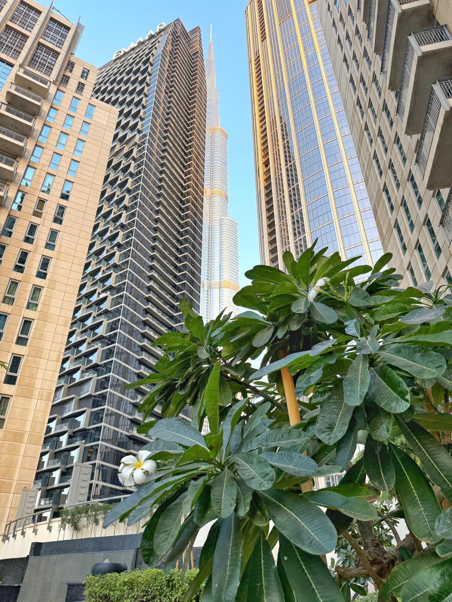 Downtown Gem With Burj Views Apartment *