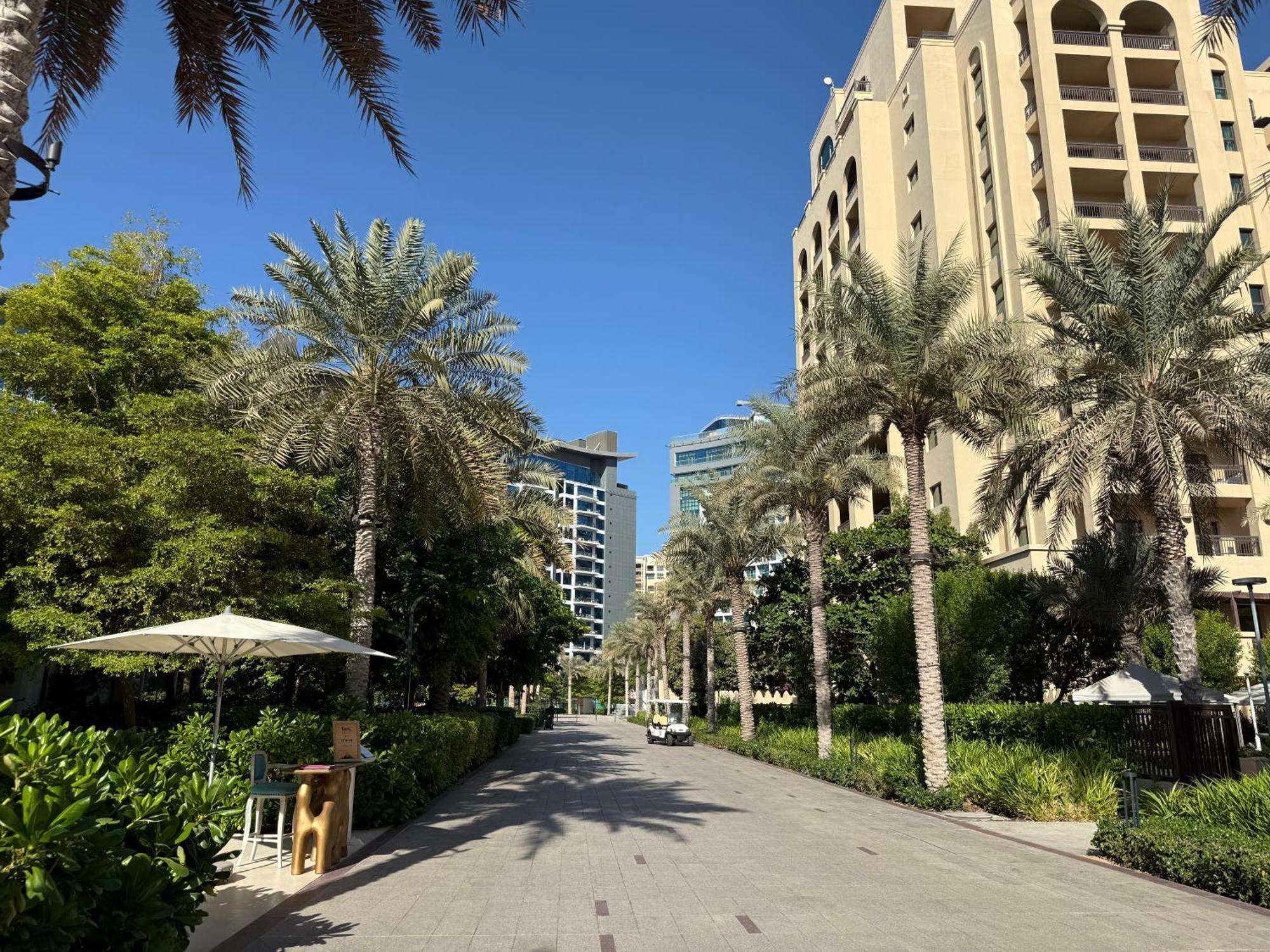 In Seven Palm With Access Appartement Dubaï