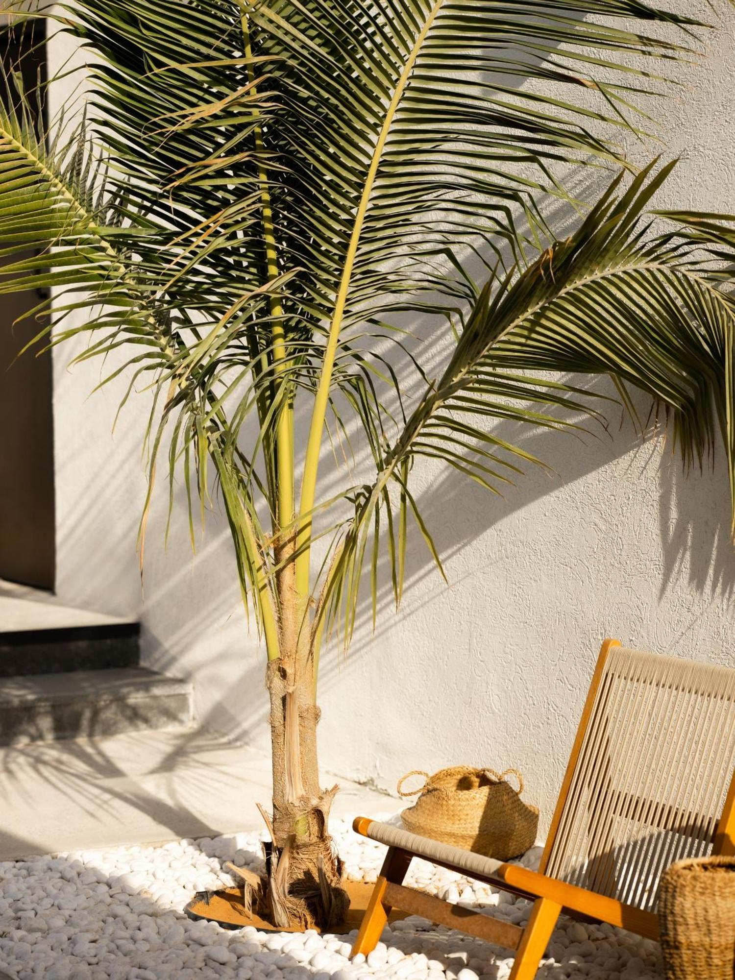 Luxury Boho Chic Beachside Escape, Shared Pool & Burj Khalifa View! * Dubaï