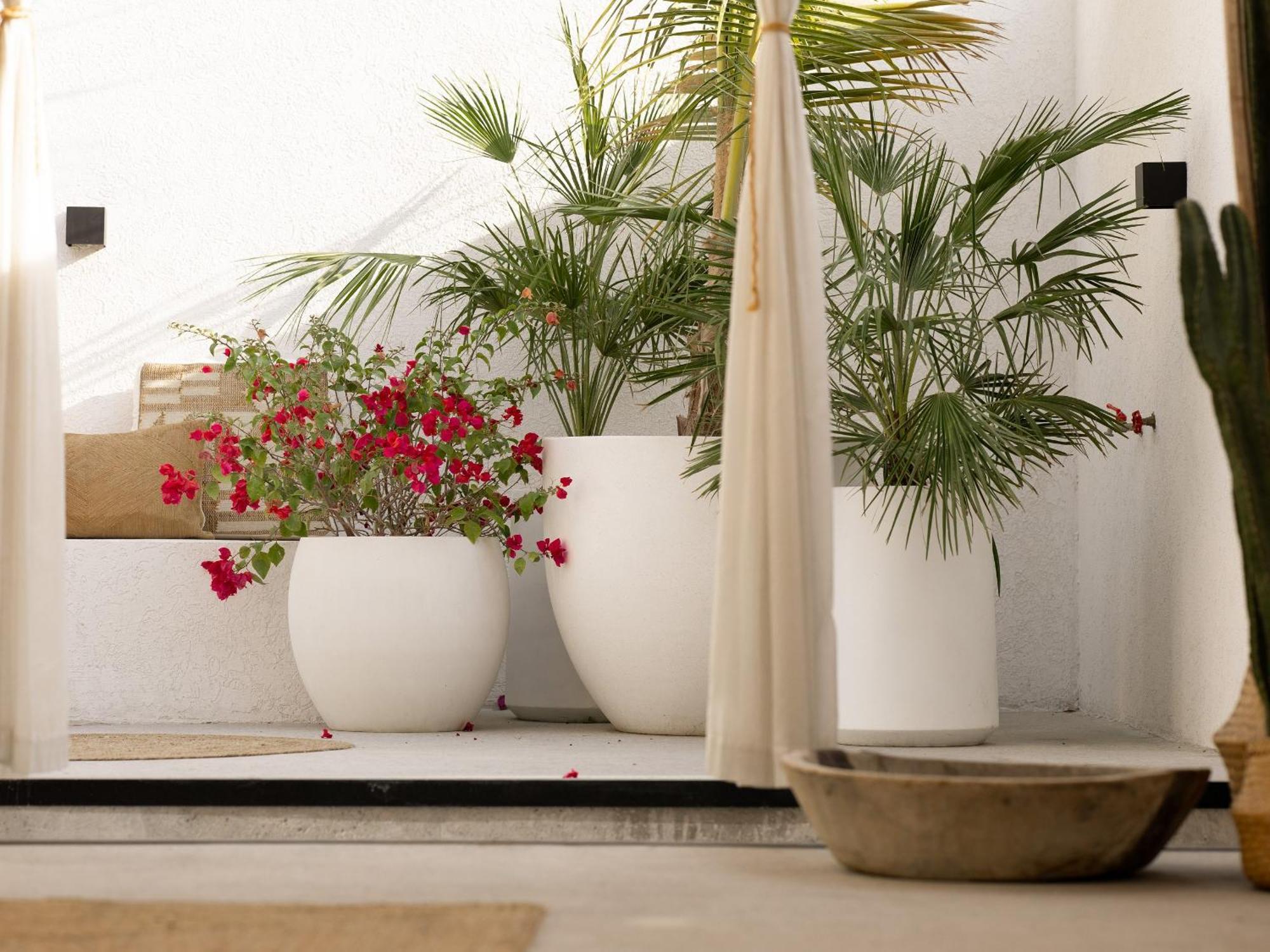 Luxury Boho Chic Beachside Escape, Shared Pool & Burj Khalifa View! *