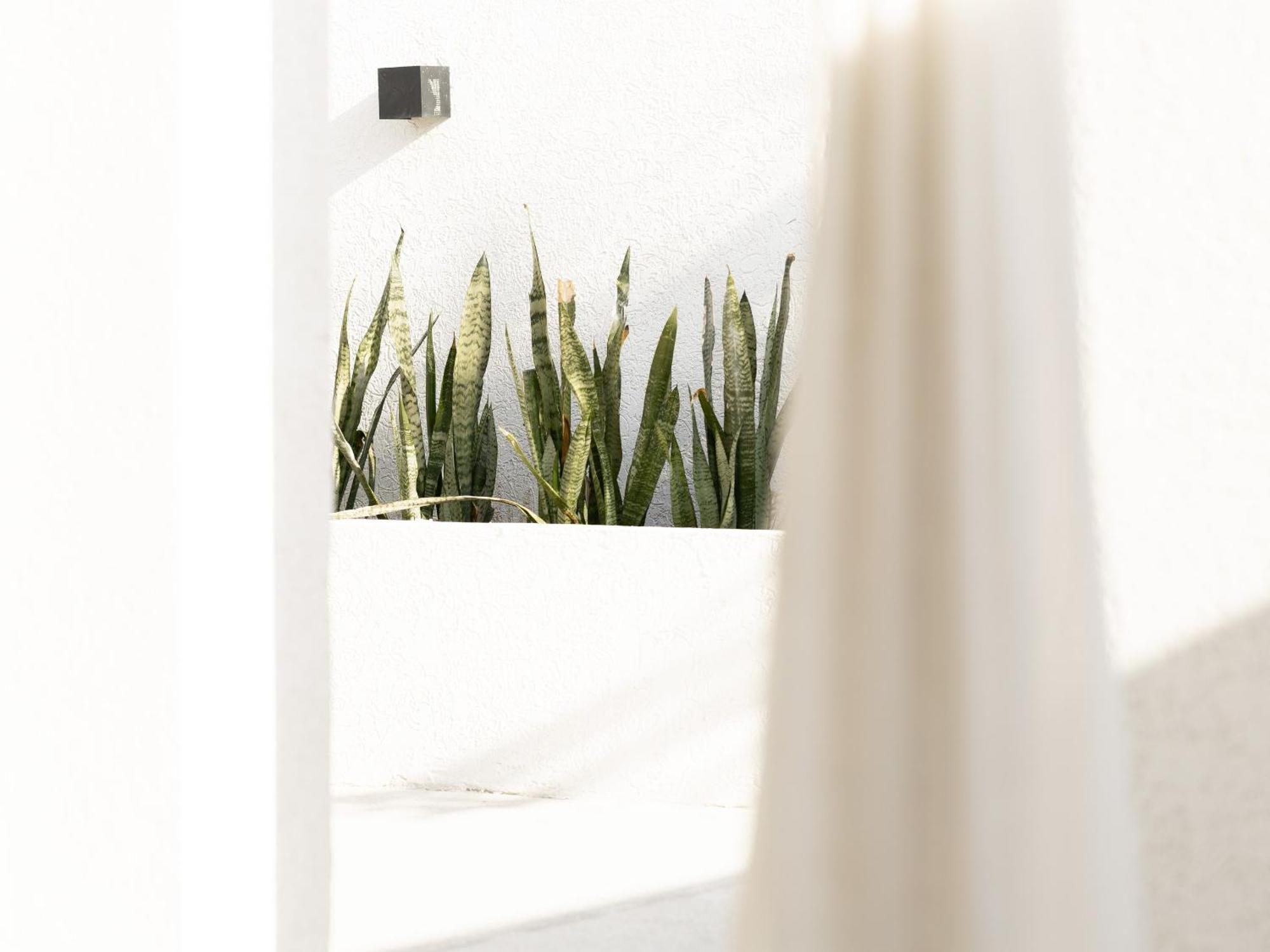 Appartement Luxury Boho Chic Beachside Escape, Shared Pool & Burj Khalifa View! *
