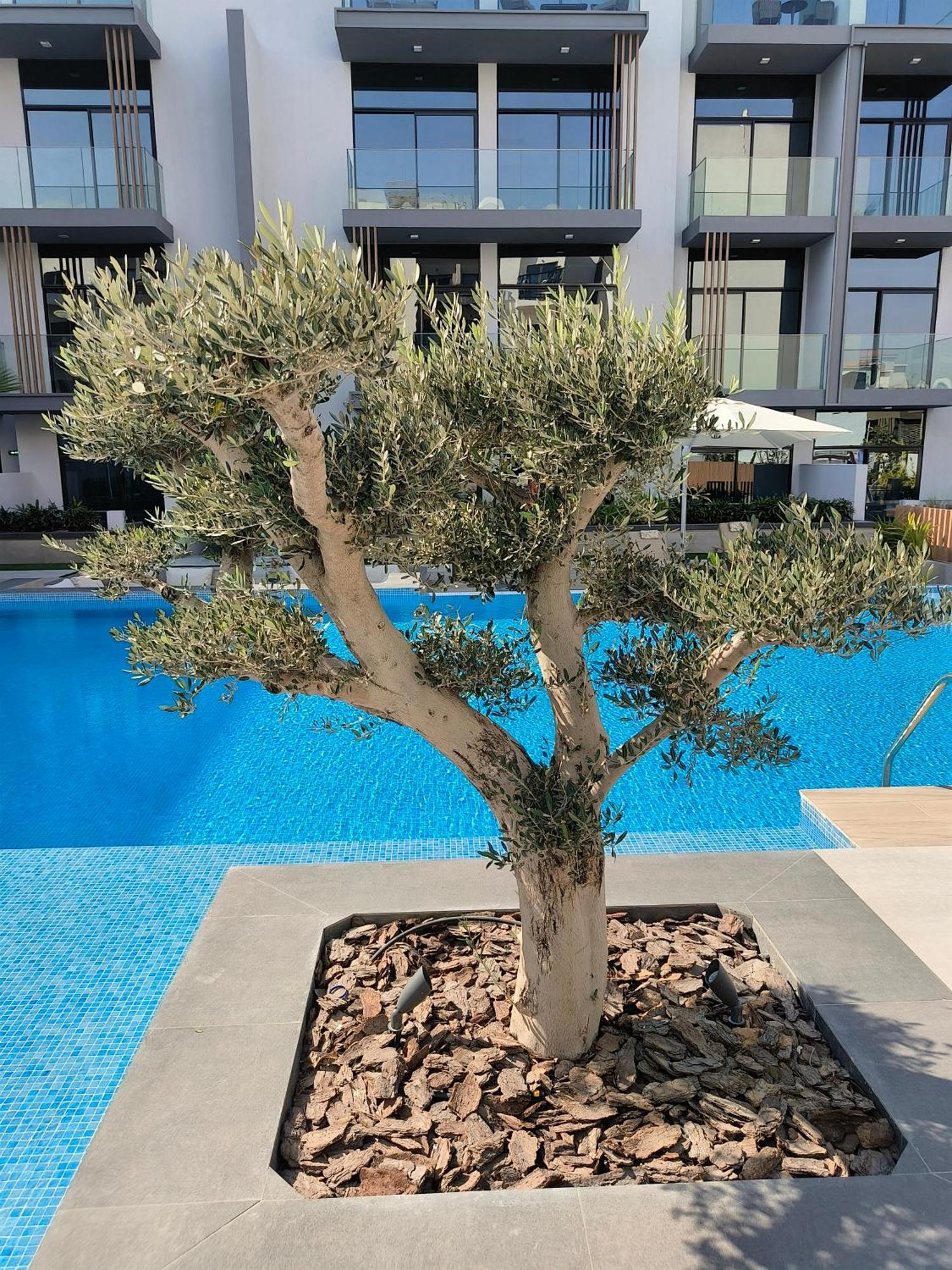 Boutique Loft, Stylish, Cozy And Luxurious Style In Wonderful Building With 2 Pools & Gym