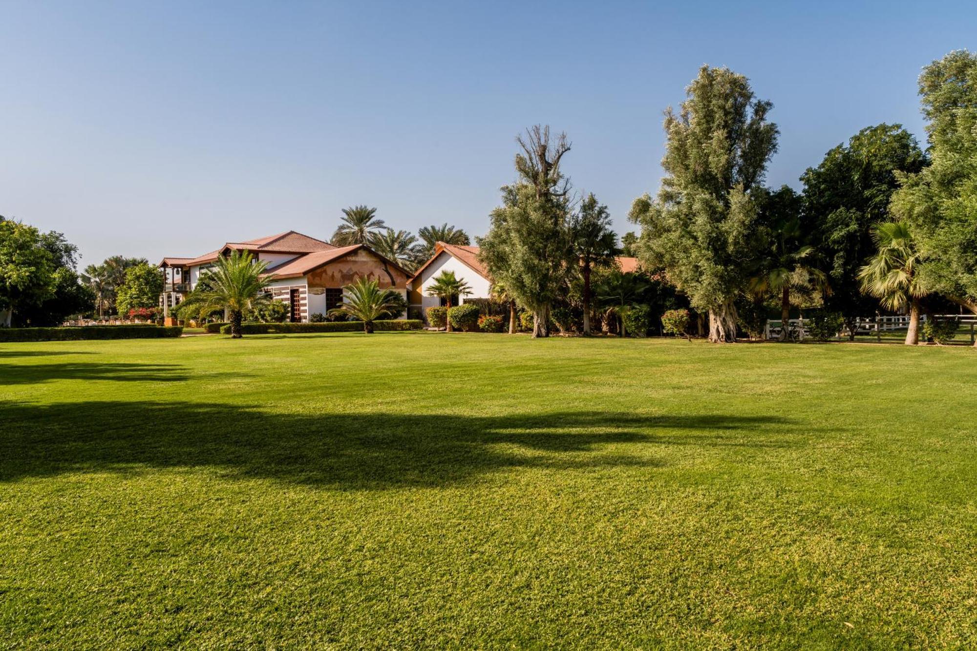 Melia Desert Palm Member Of Melia Collection Hotell