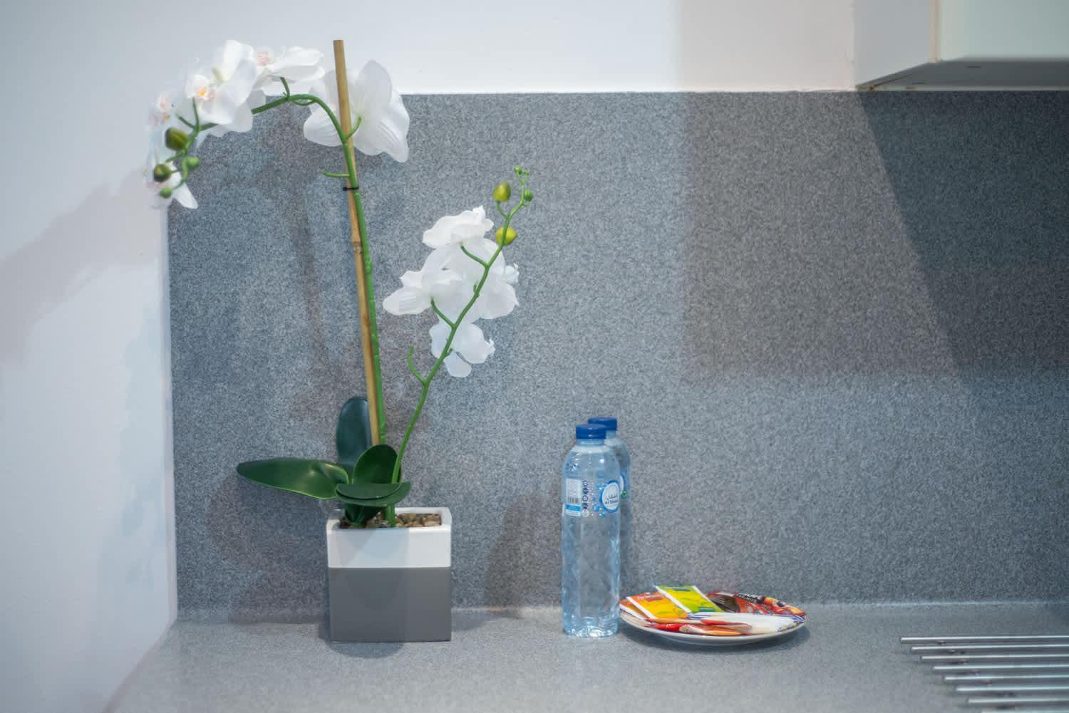 Appartement Prime In Barsha Heights Dubaï