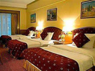 Gss Avenue Ex Delmon Hotel Dubái