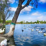 Al Qudra Lakes Camping By Hyba