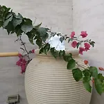 Al Wasan Village Holiday Home