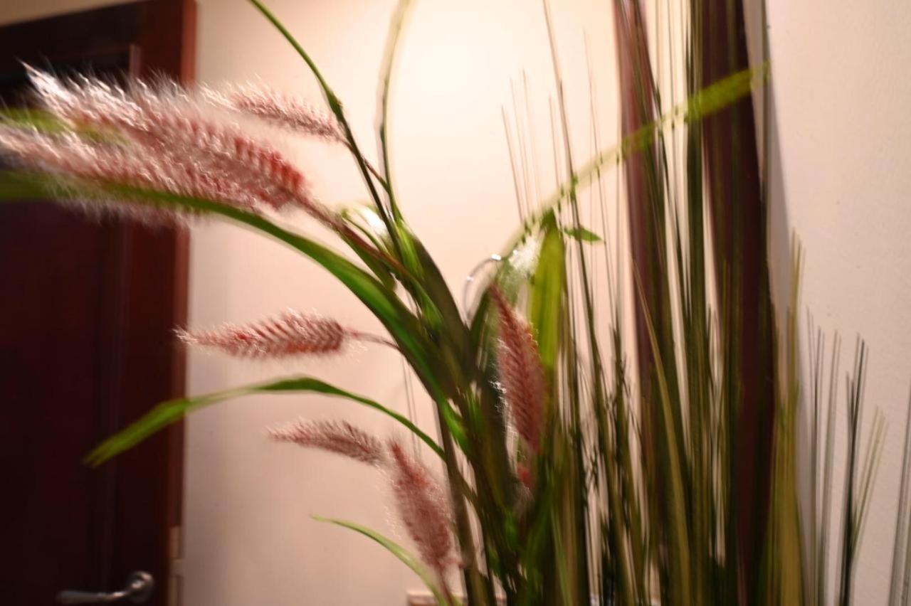 Burj Khalifa View, Birds Chirping, Cozy And Stylish Apartamento *