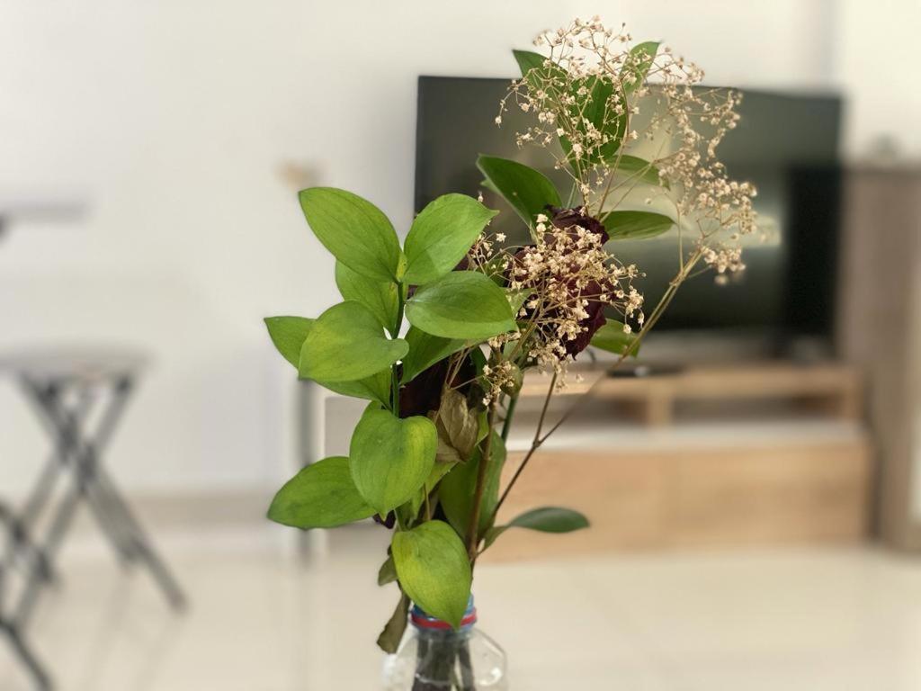 Appartamento Comfortable And For Rent In *