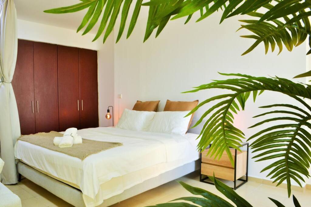 Vacation In Best Part Of Apartamento *