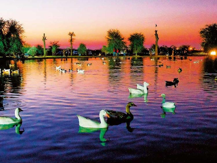 Al Qudra Lakes By Hyba Dubai