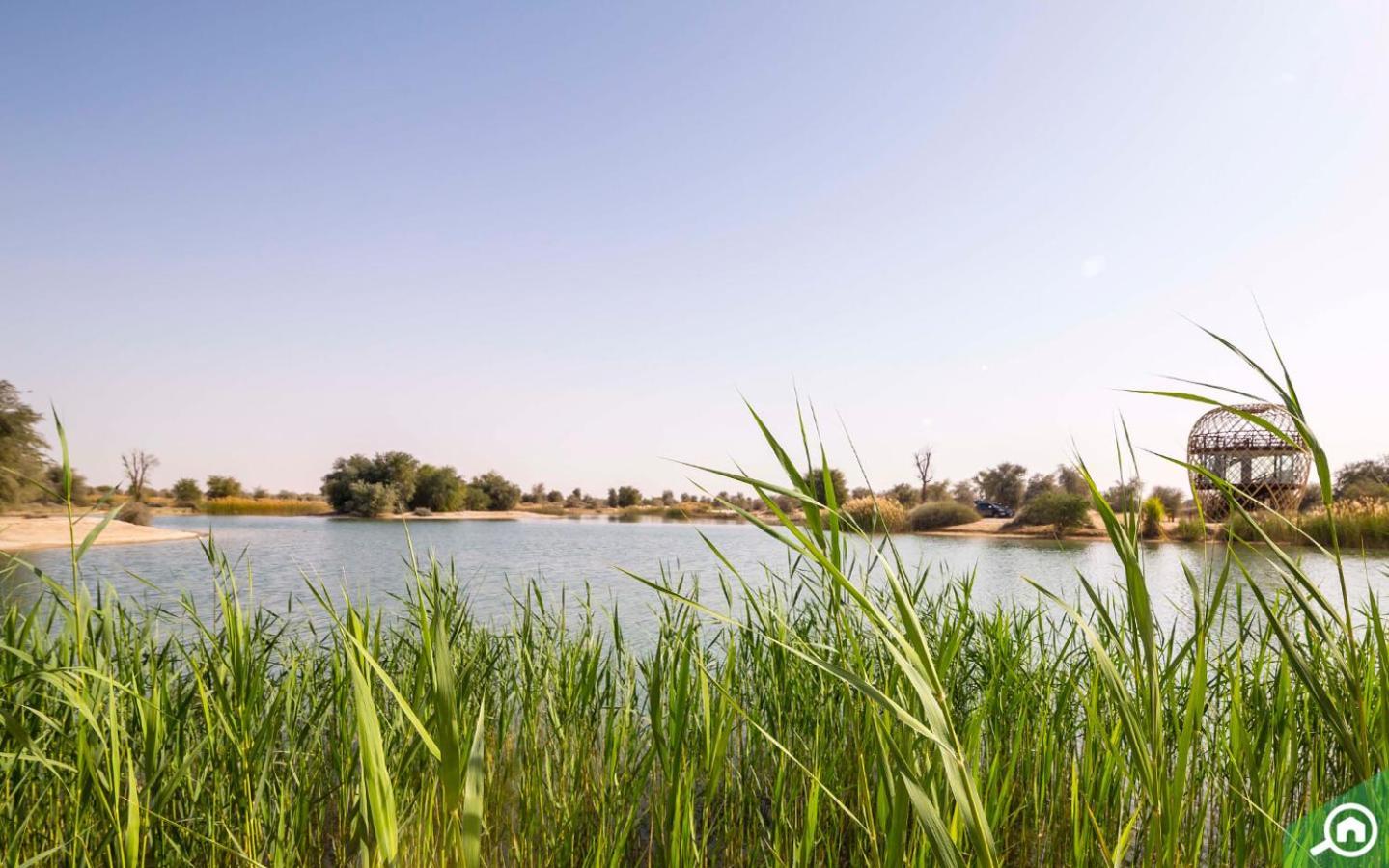 Al Qudra Lakes By Hyba Dubai