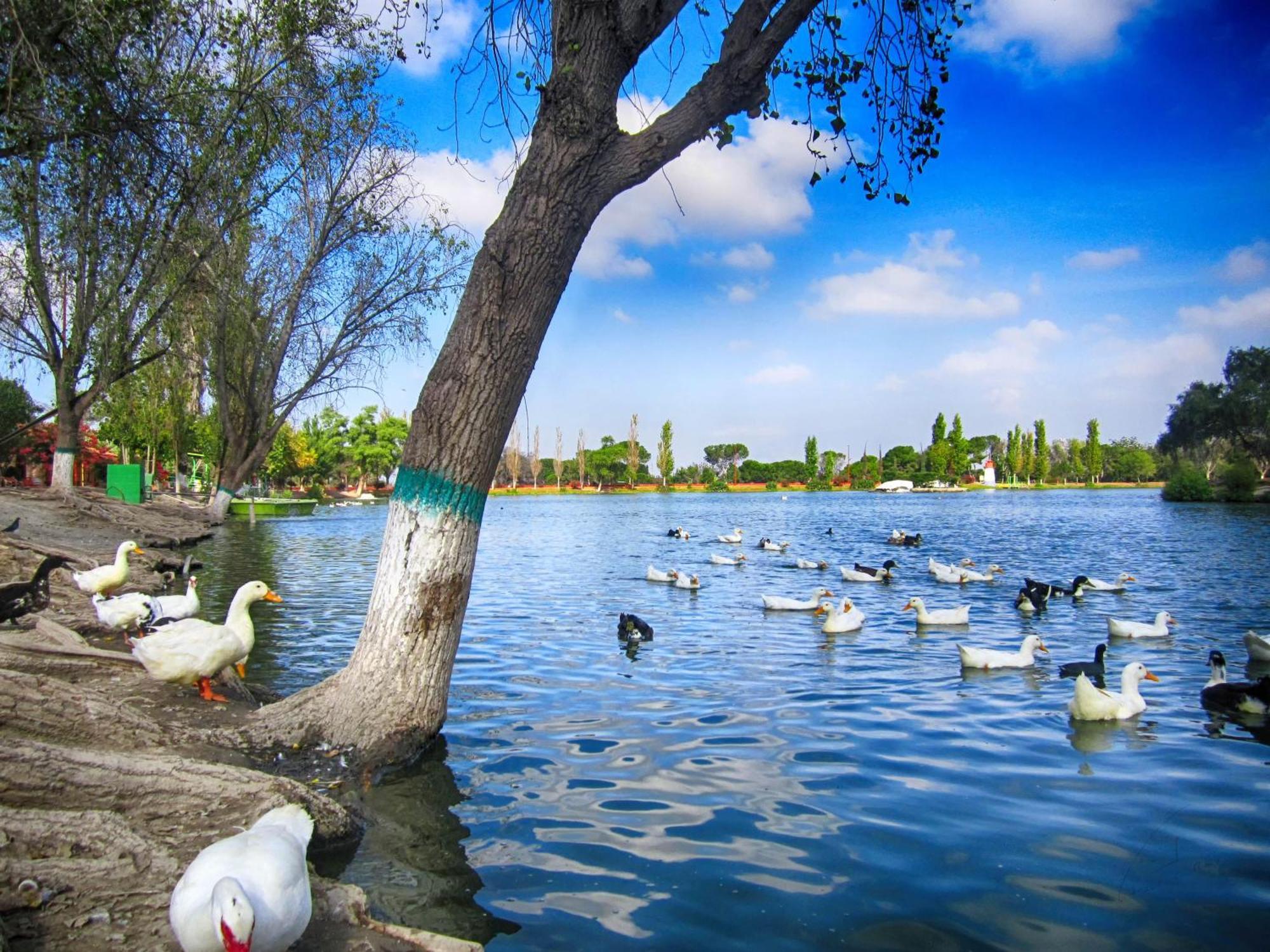 Al Qudra Lakes By Hyba Capsule hotel Dubai