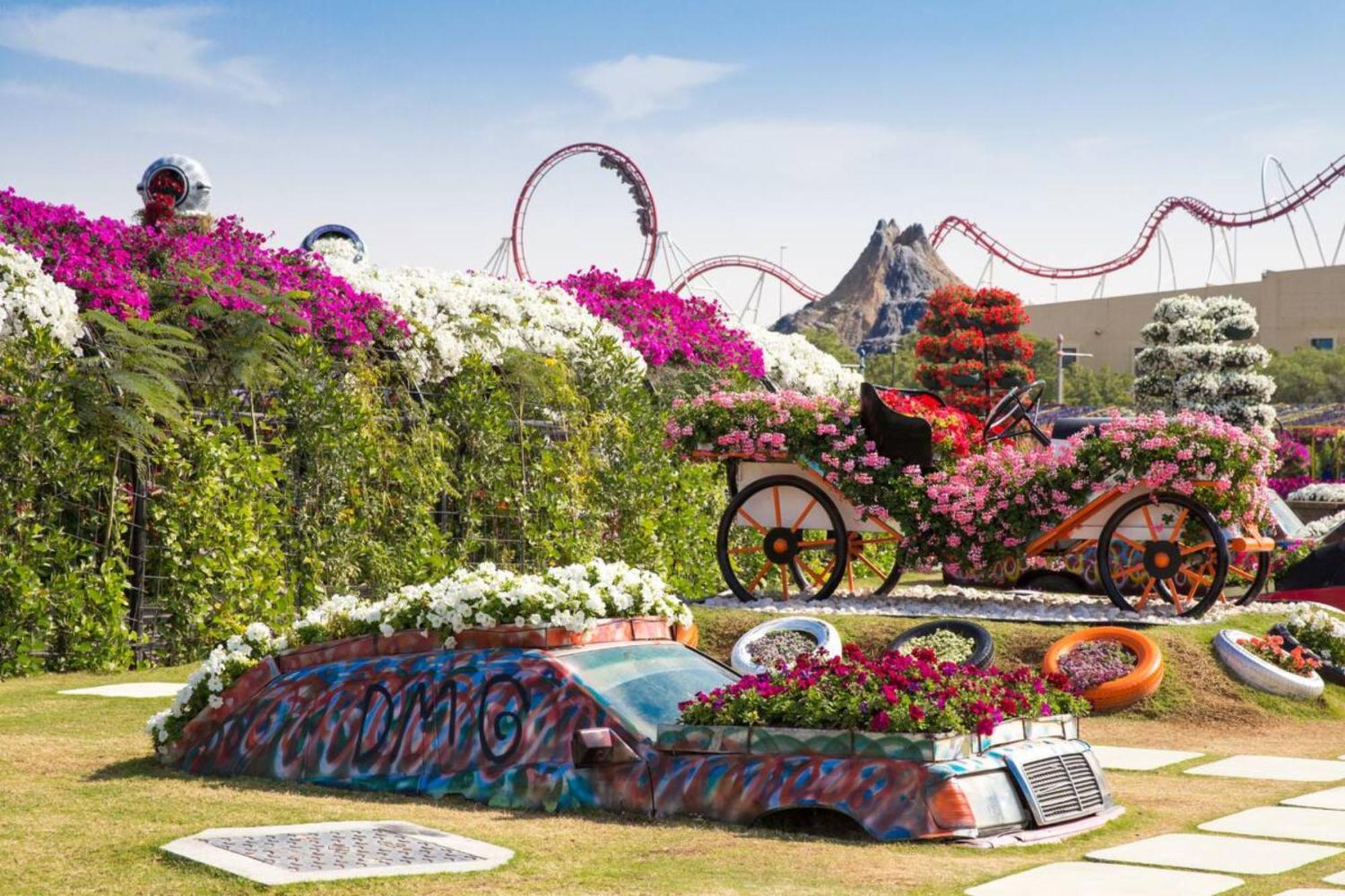 1 Bedroom Apt, Miracle Garden With Rooftop Pool, King Bed, Gym,100mbps Appartement