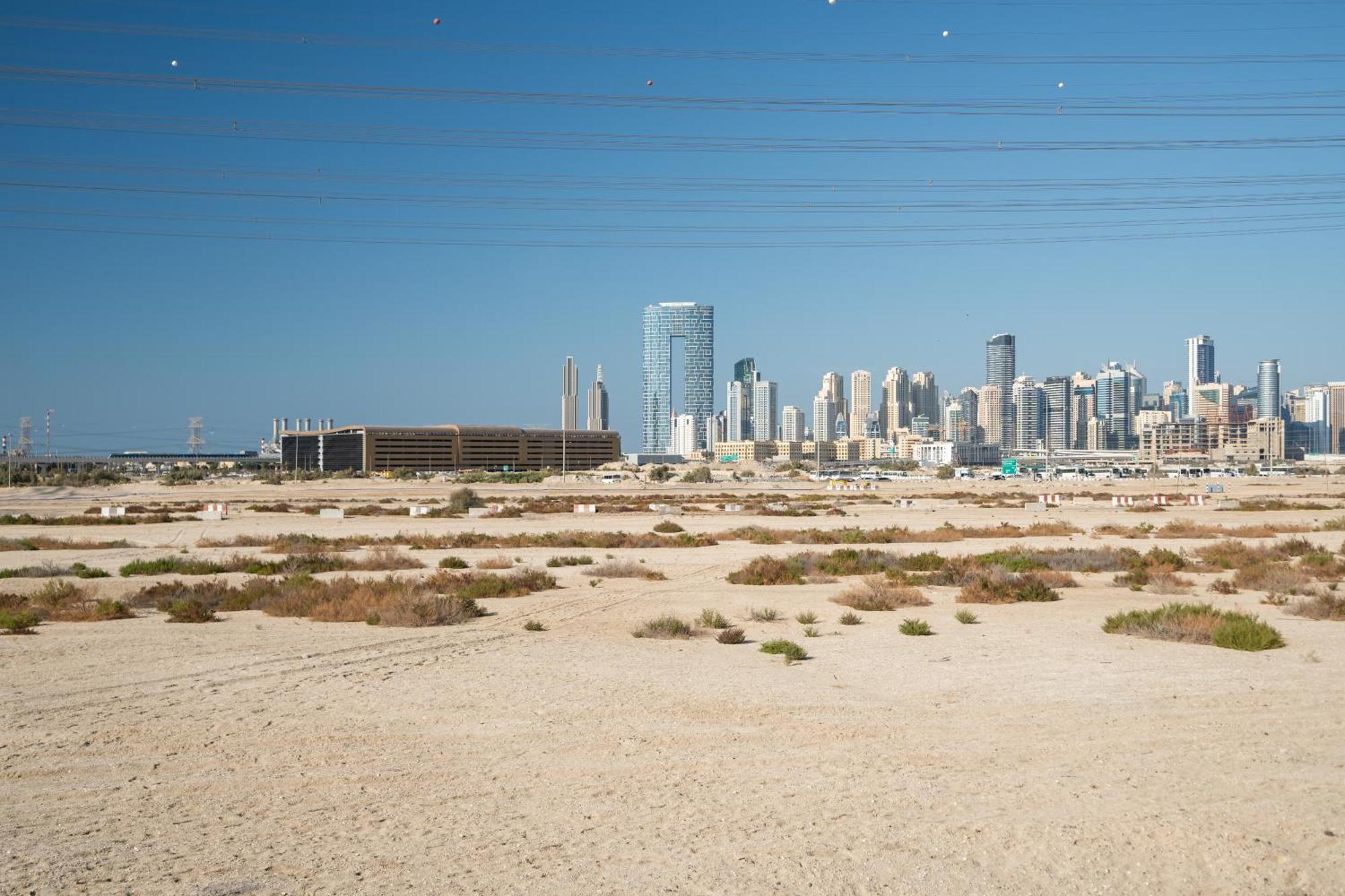 Peaceful Near Jbr