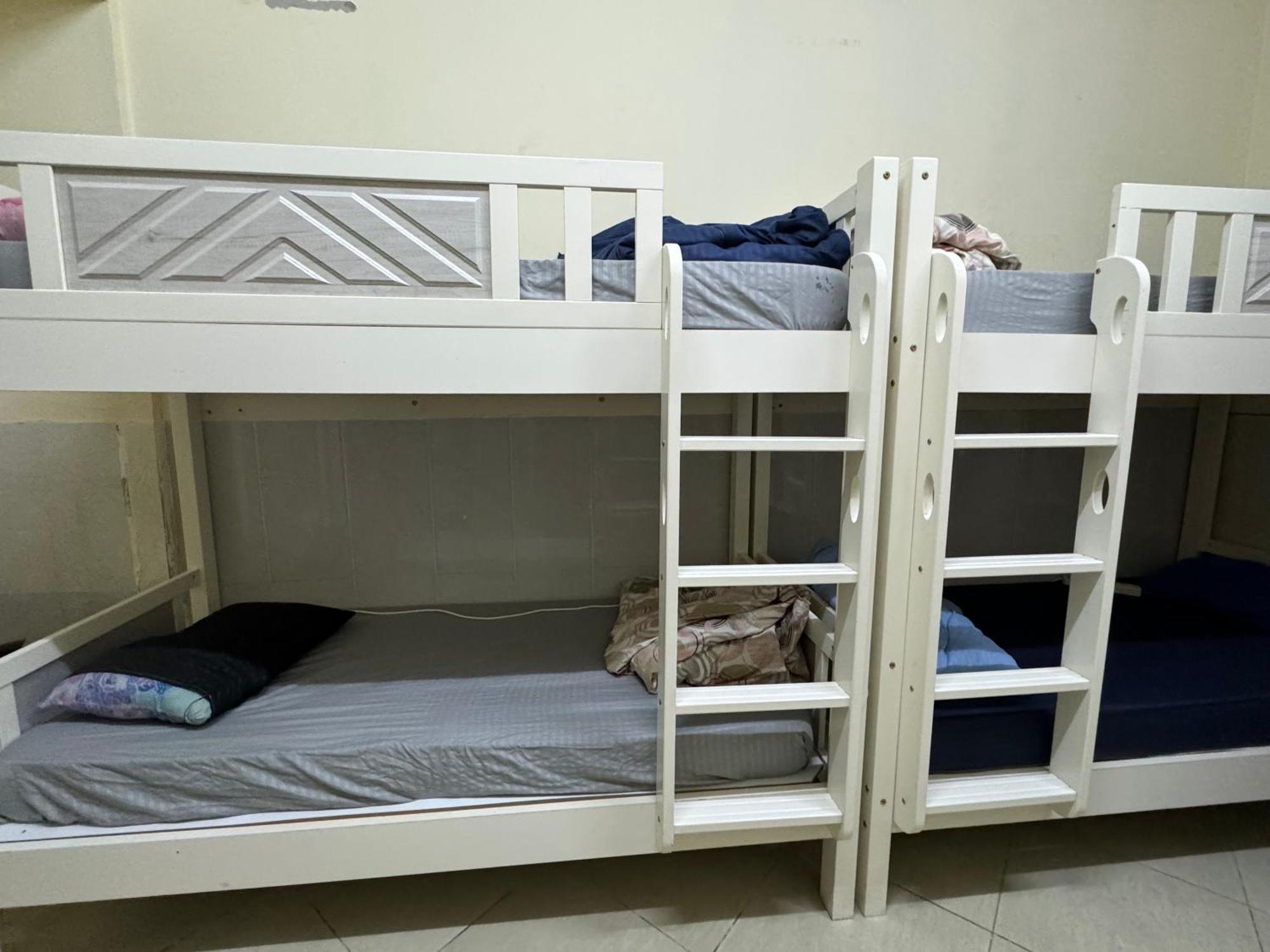 Falcon Living Hostal