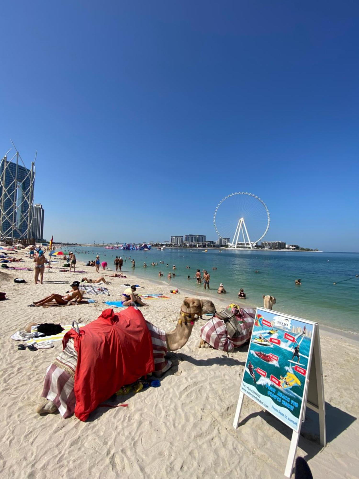 Alsahel Beach Vandrarhem