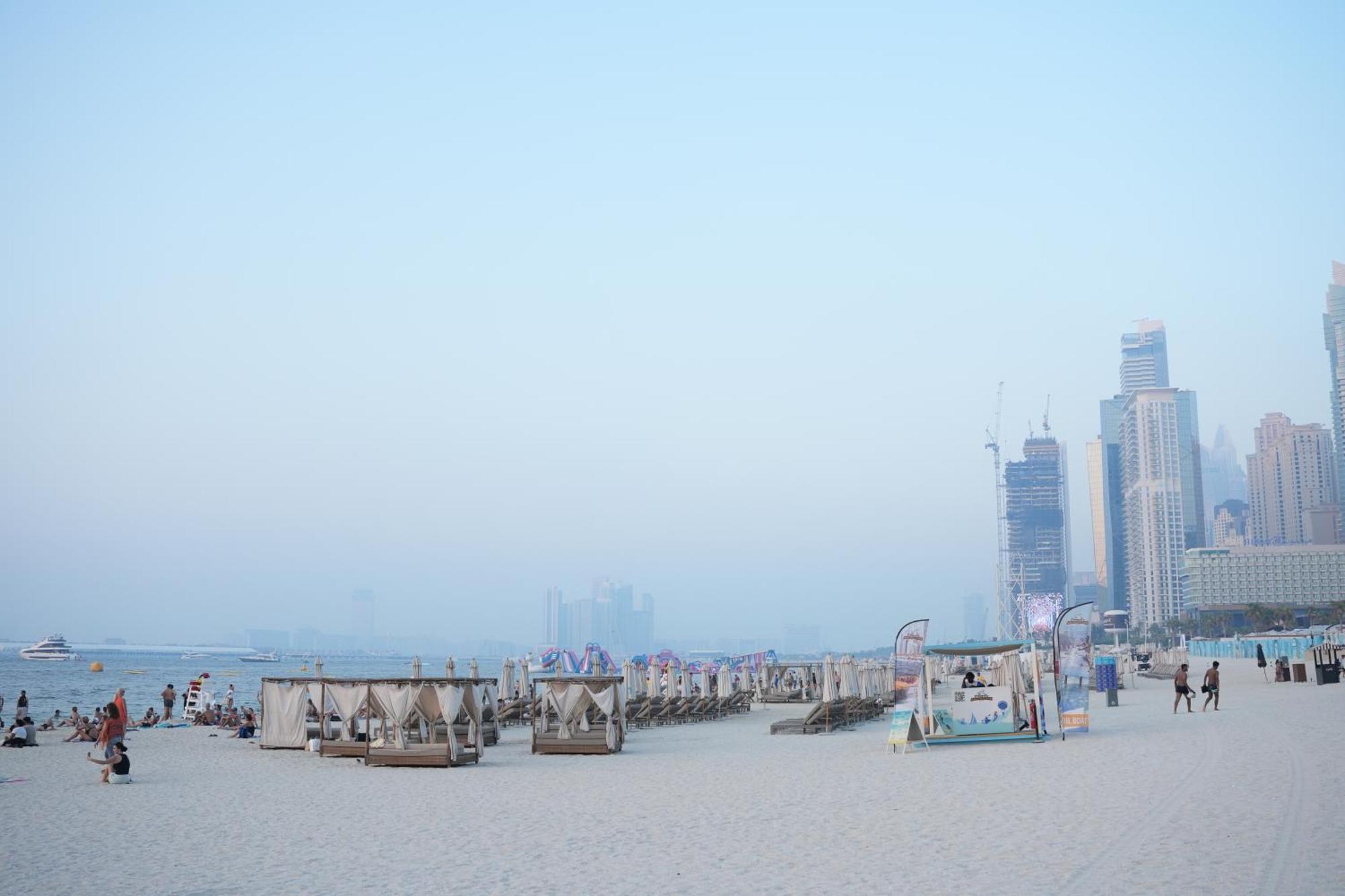 Yellow Parrot Jbr