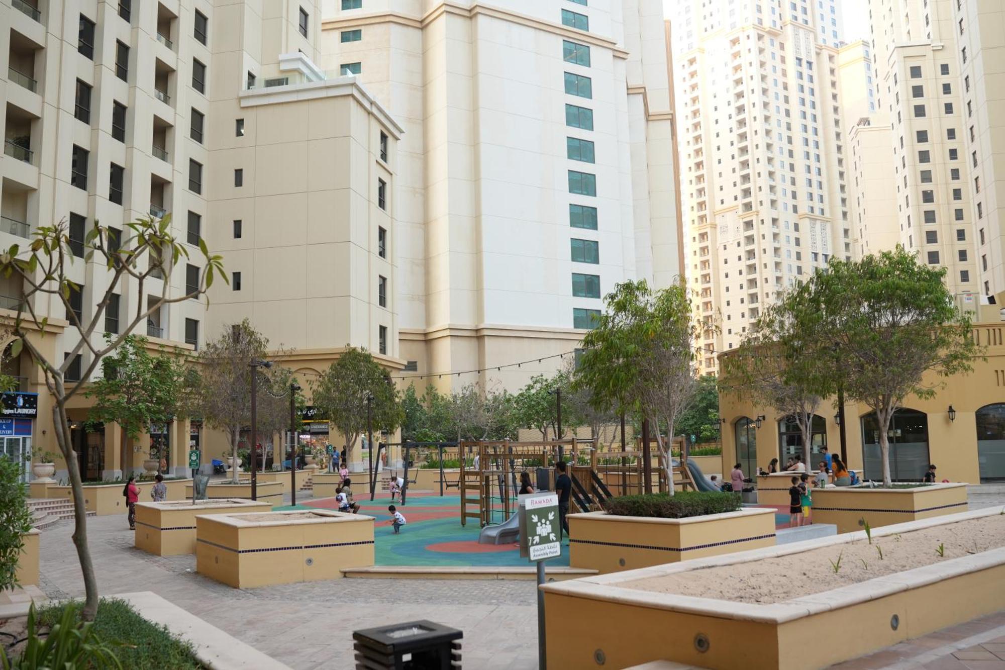 Yellow Parrot Jbr *