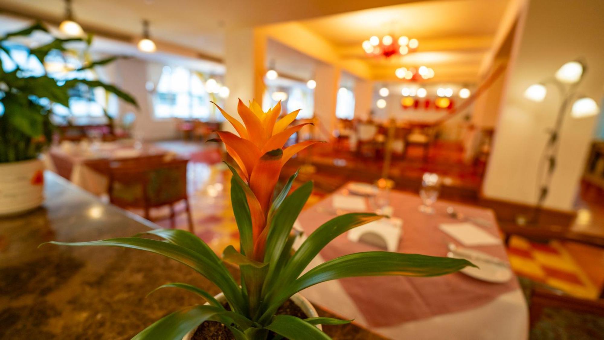 Hotell Riviera 4*