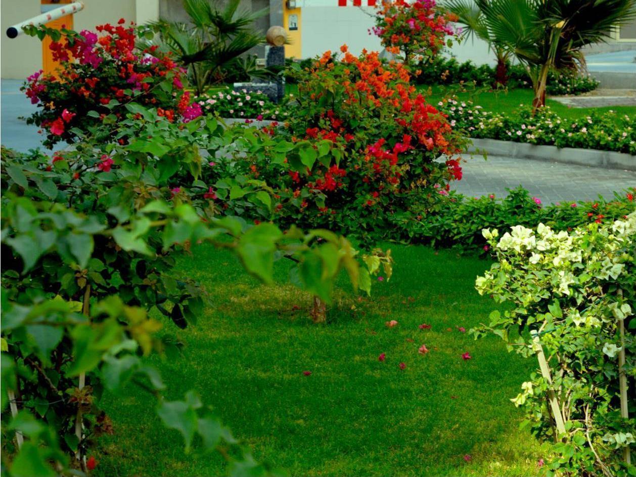 To Apartahotel 3*