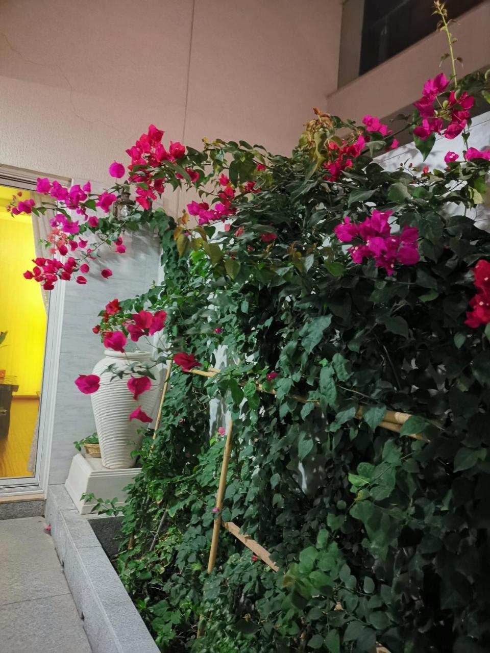 Villa Al Wasan Village Holiday