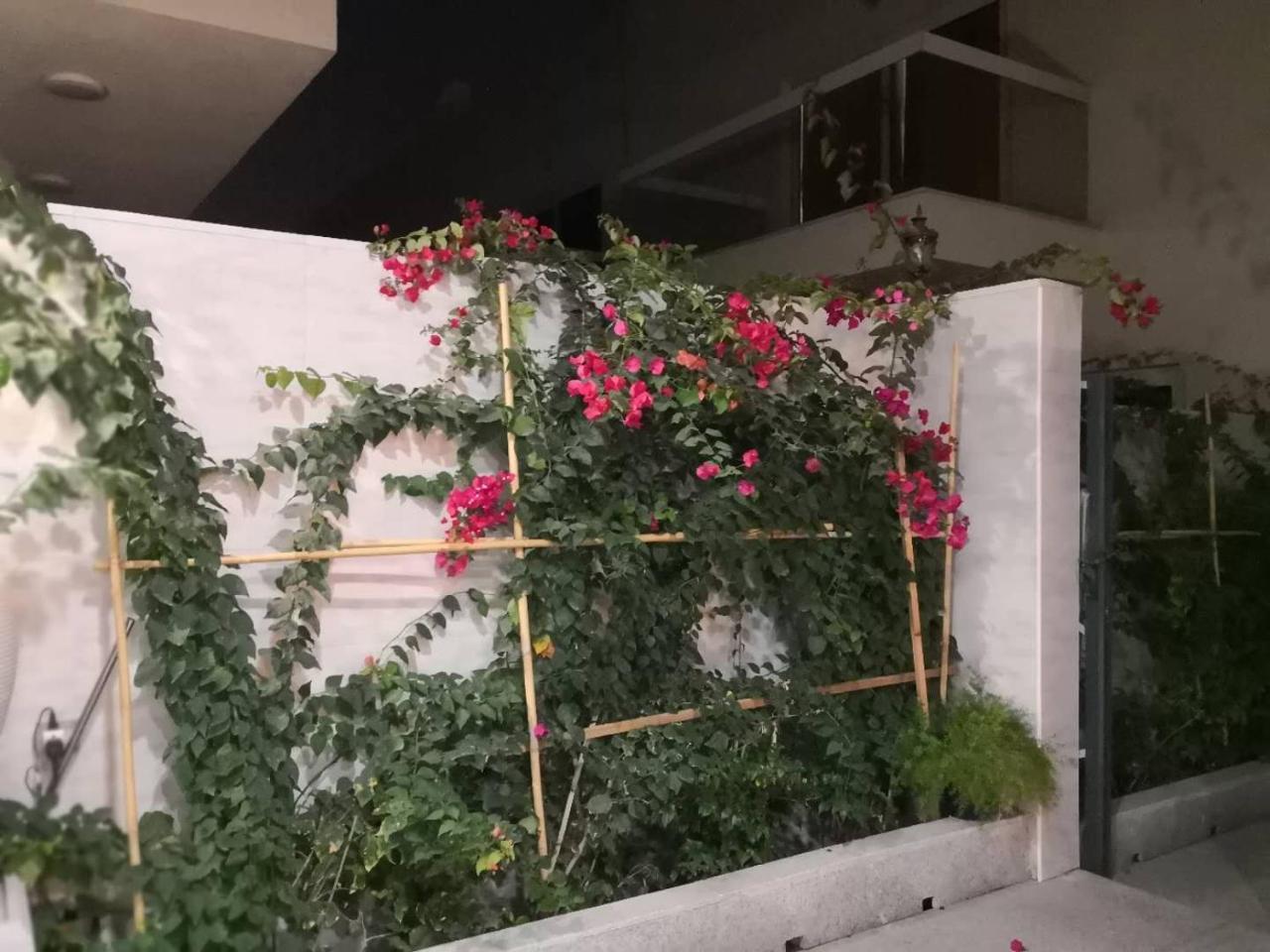 Al Wasan Village Holiday Villa *
