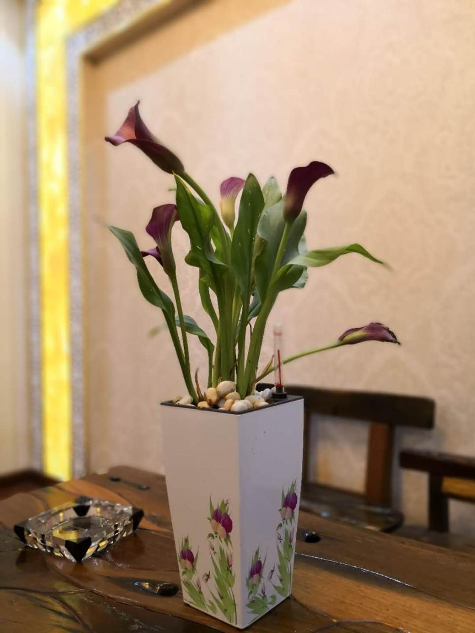 Villa Al Wasan Village Holiday Dubaï