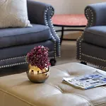 Cool&spacious apartment in fabulous location