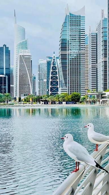 Apartamento Amazing 1br In Jlt With View Near Marina And Jbr Dubái