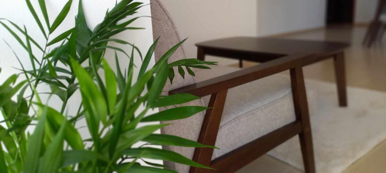 Albergue Jbr Synergy Dubai