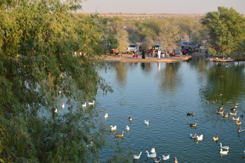 Al Qudra Lakes By Hyba Hotel Cápsula *