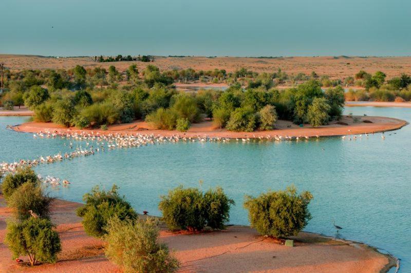 Hotel Cápsula Al Qudra Lakes By Hyba Dubai