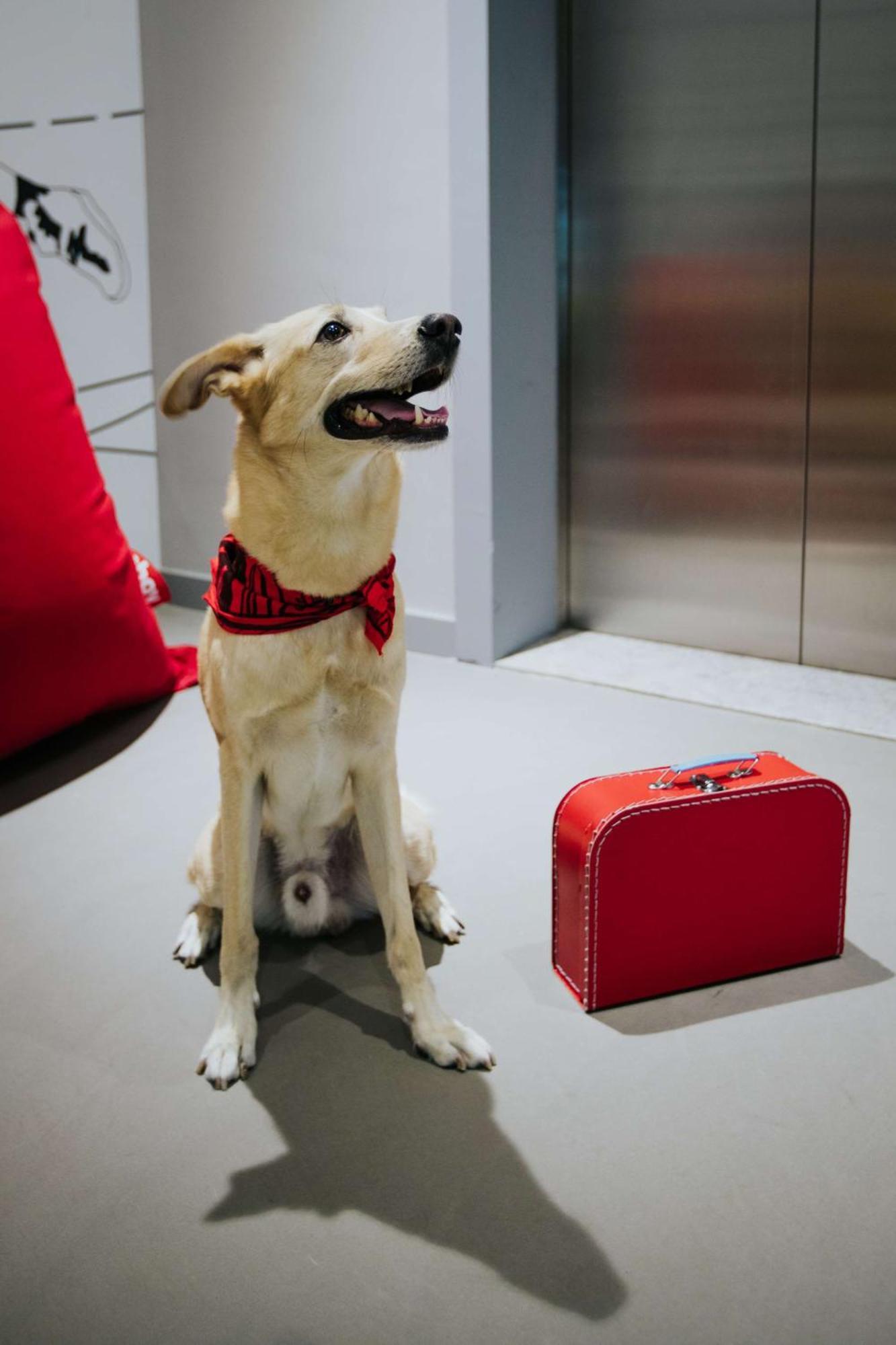 Radisson Red Silicon Oasis 4* Dubái