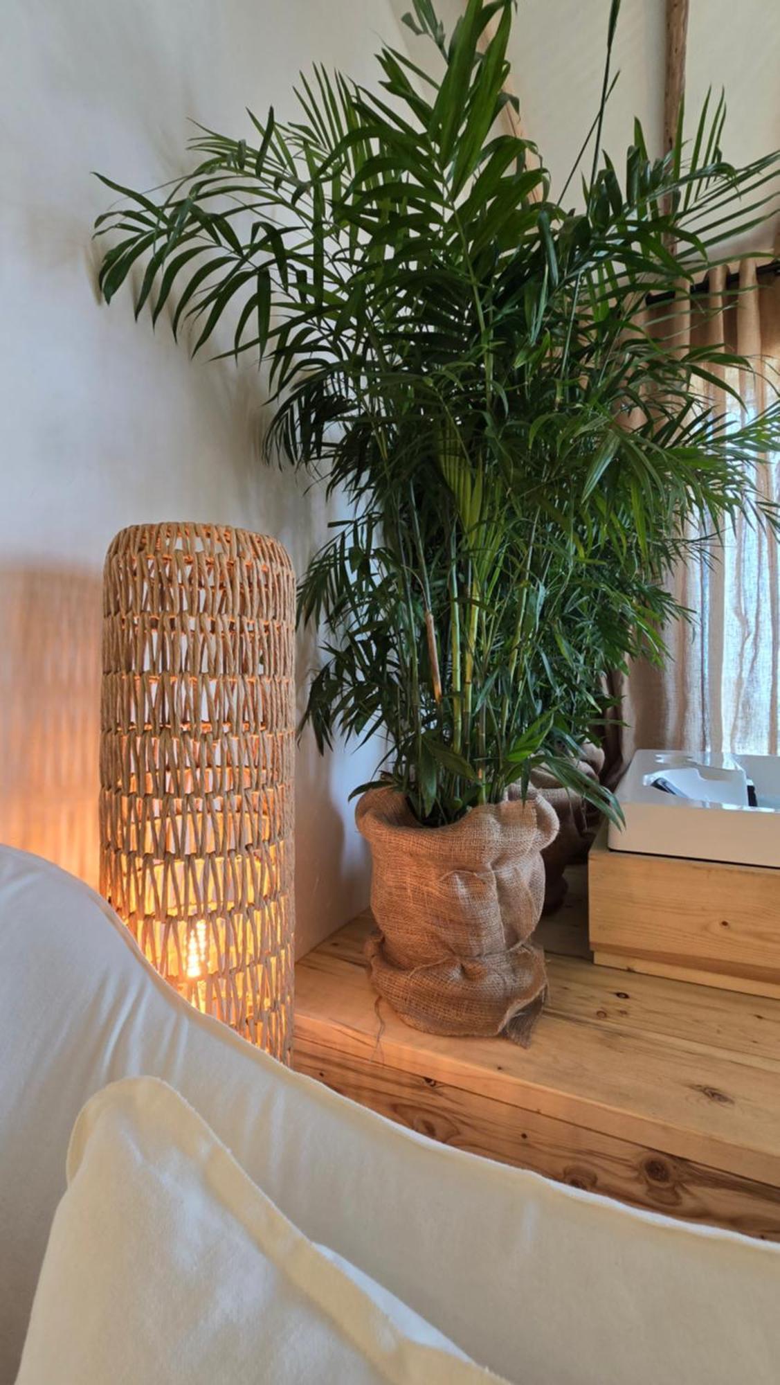 Apartment Luxury 2br Biophilic Retreat With Private Jacuzzi, Massage Chair & Infinity Pool
