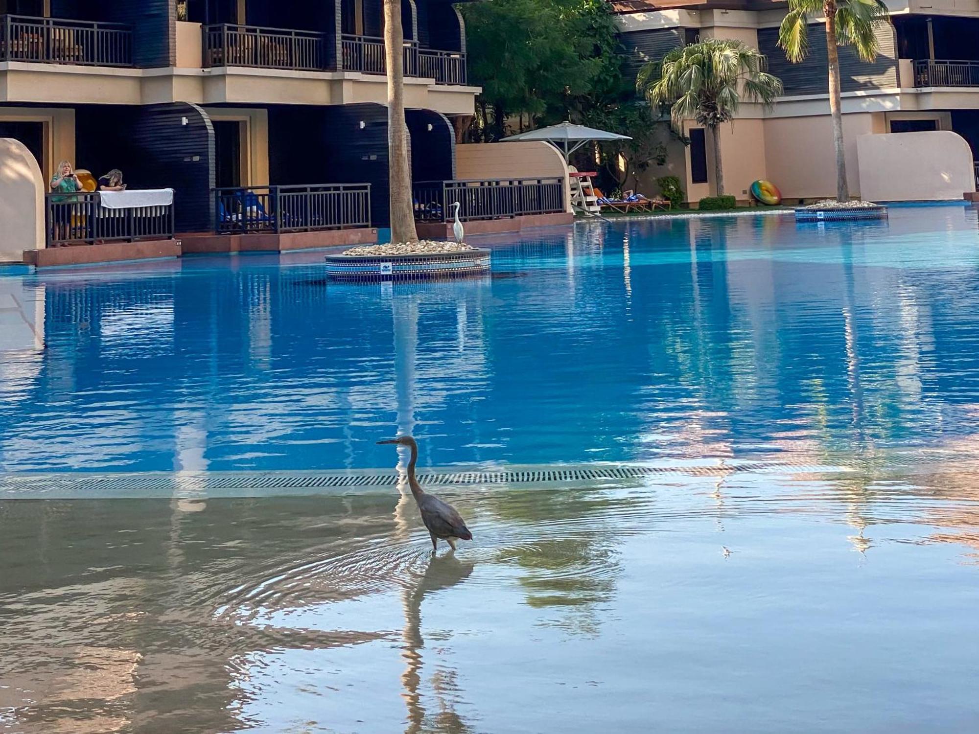 Picture-perfect 2br With Burj View