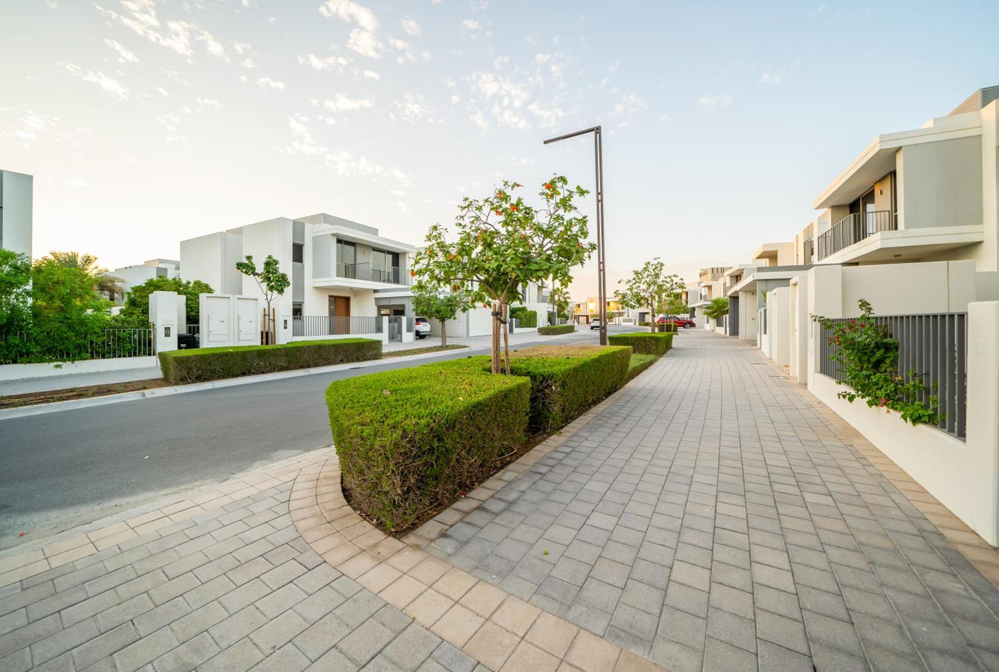 Newarabian Hills Sidra Villa