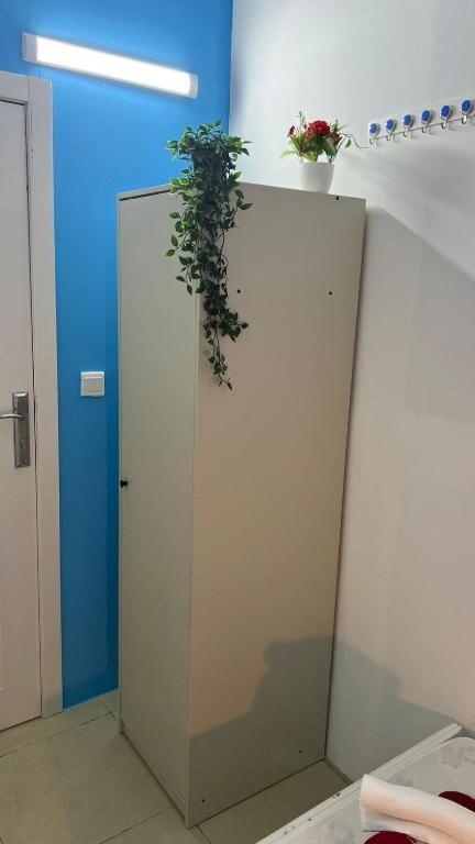 Homestay Small Partition Barsha Heights Tecom *